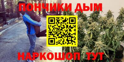 ешки Партизанск