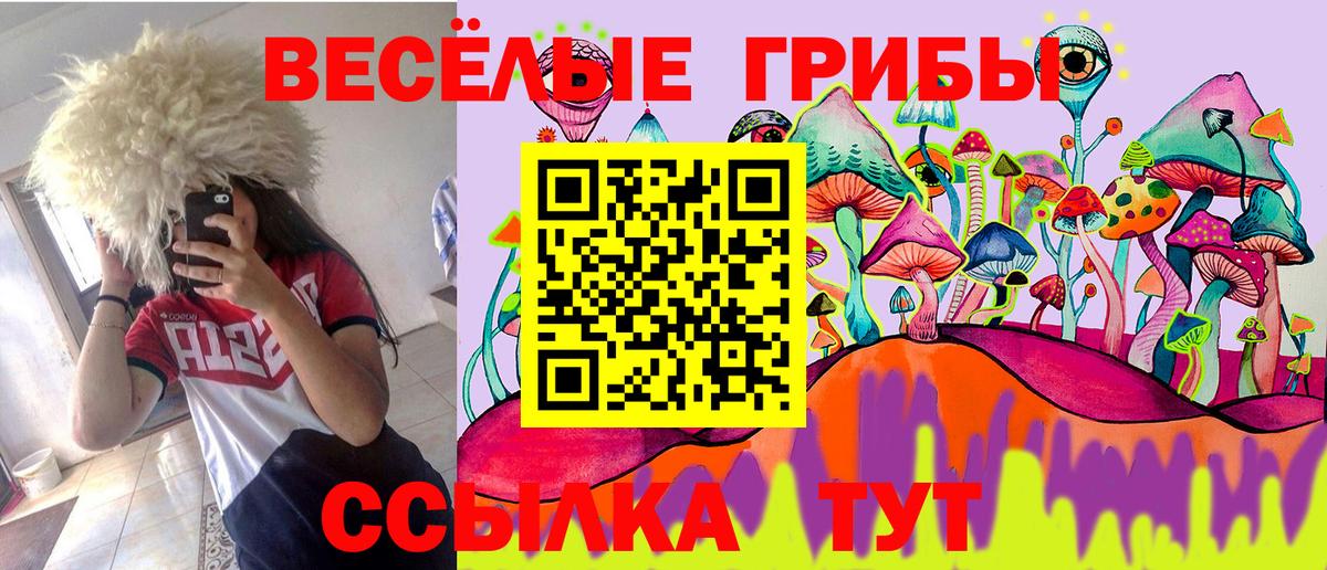 Асино  Псилоцибиновые грибы Cubensis  Вход с VPN  Псилоцибиновые грибы Psilocybe 
